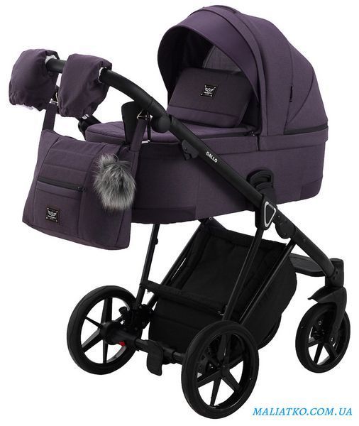 Коляска 2 в 1 Adamex Gallo Thermo GA-8 plum perfect 1000625520 фото