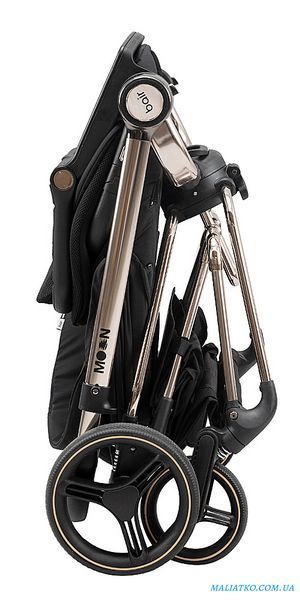 Коляска 2 в 1 Bair Moon Gold Edition MG-01 черный 1000680930 фото