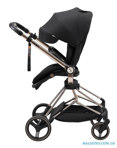 Коляска 2 в 1 Bair Moon Gold Edition MG-01 черный 1000680930 фото