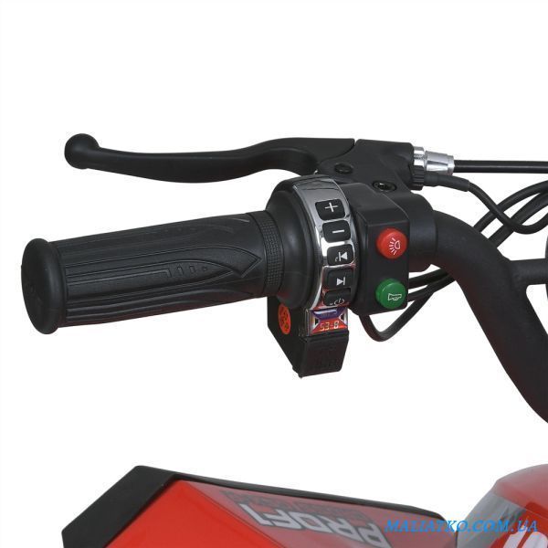 Квадроцикл E-XBW-1200-3(MP3) 307305 фото