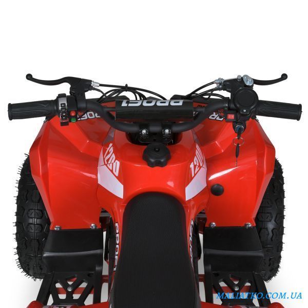 Квадроцикл E-XBW-1200-3(MP3) 307305 фото
