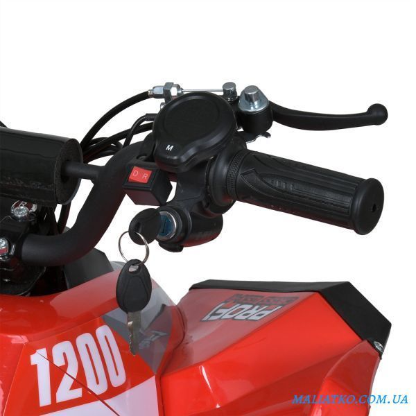 Квадроцикл E-XBW-1200-3(MP3) 307305 фото