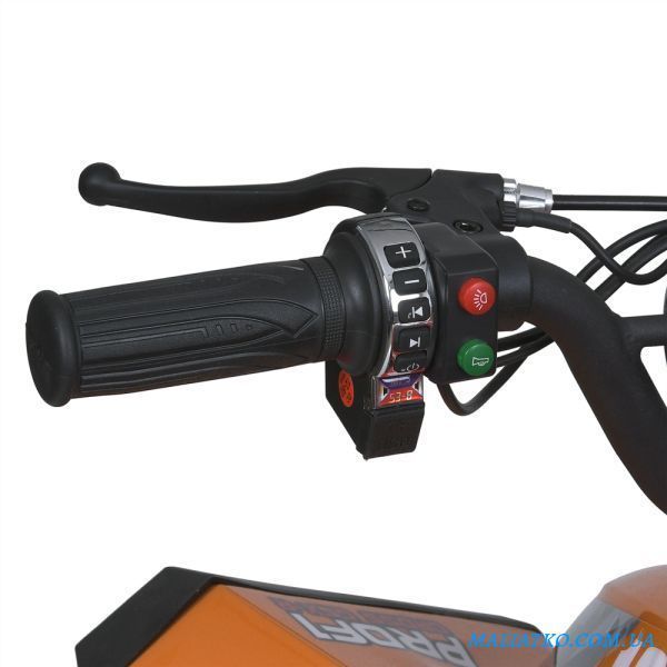 Квадроцикл E-XBW-1200-7(MP3) 307308 фото