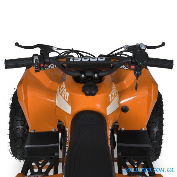 Квадроцикл E-XBW-1200-7(MP3) 307308 фото