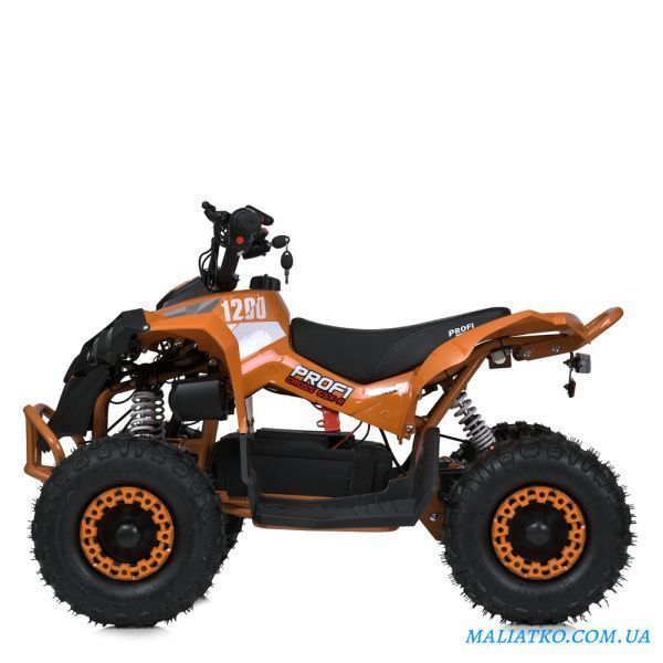Квадроцикл E-XBW-1200-7(MP3) 307308 фото