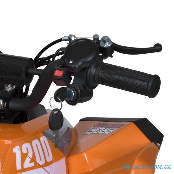 Квадроцикл E-XBW-1200-7(MP3) 307308 фото