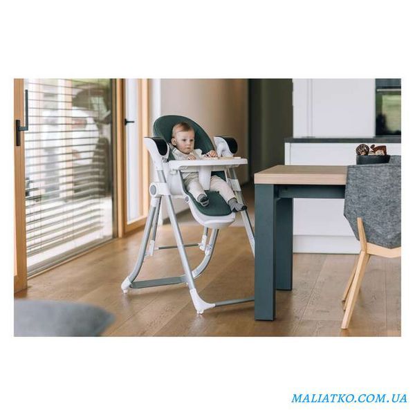 Стілець для годування дитини FreeON 3 in 1 Oli Deluxe, pistachio sf52518 фото