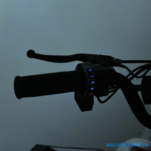 Квадроцикл E-XBW-1200-7(MP3) 307308 фото