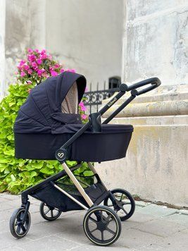 Дитяча універсальна коляска 2 в 1 Kidwell Velmont black/gold 6331 фото
