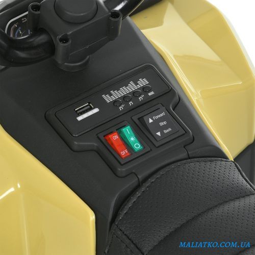 Квадроцикл M 6286EBLR-13 332250 фото