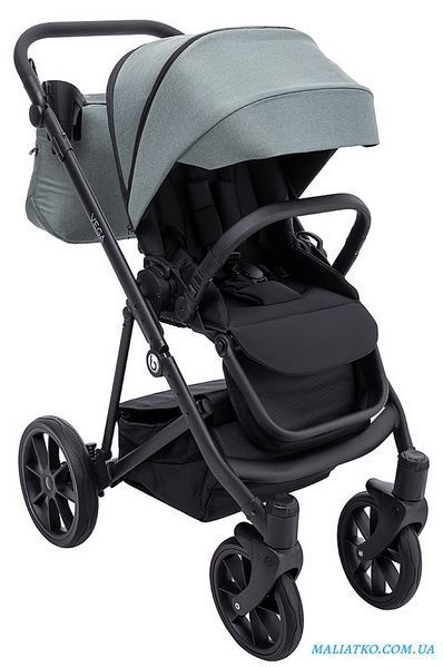 Коляска 2 в 1 Bair Vega Soft VS-03 sage нефрит 1000681059 фото