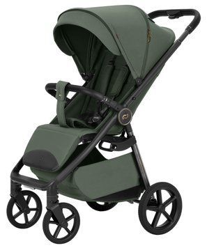 Прогулянкова коляска CARRELLO Bravo Carbon CRL-5530 Tropic Green /1/ 109001 фото