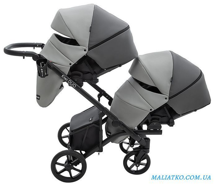 Коляска 2 в 1 для двойни Bair Kiwi DUO ECO BKD-21/15 серый / графит 1000681043 фото
