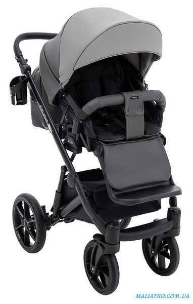 Коляска 2 в 1 Bair Kiwi Plus ECO BKP-21/15 серый / графит 1000680900 фото