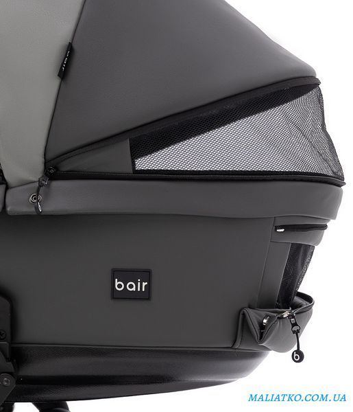 Коляска 2 в 1 Bair Kiwi Plus ECO BKP-21/15 серый / графит 1000680900 фото