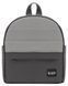 Коляска 2 в 1 Bair Kiwi Plus ECO BKP-21/15 серый / графит 1000680900 фото 10