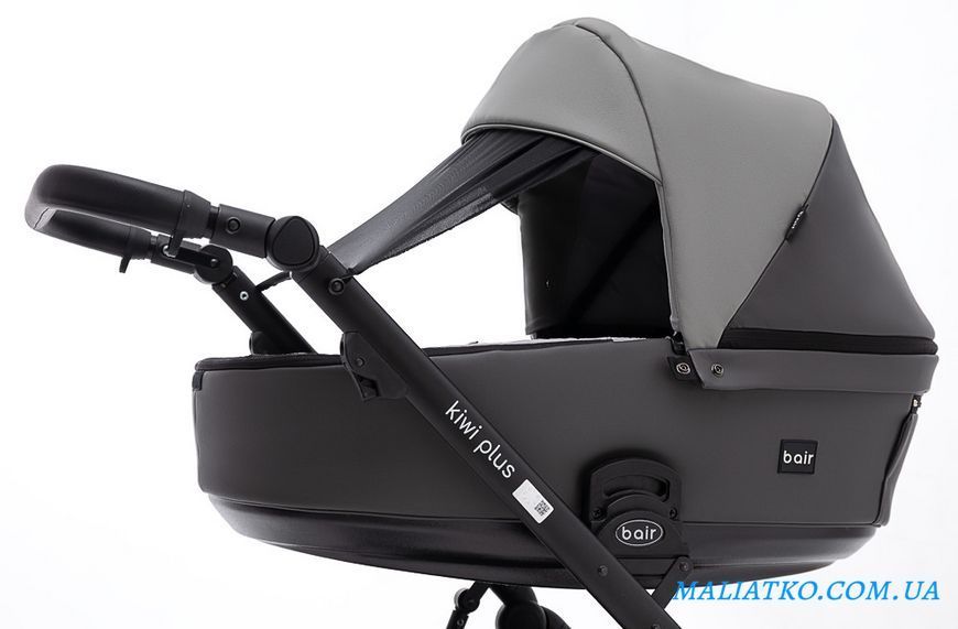 Коляска 2 в 1 Bair Kiwi Plus ECO BKP-21/15 серый / графит 1000680900 фото