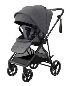 Прогулянкова коляска CARRELLO Extra CRL-5532 Chrome Grey /1/ 113574 фото