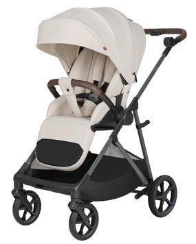 Прогулянкова коляска CARRELLO Costa CRL-5543 113764 фото