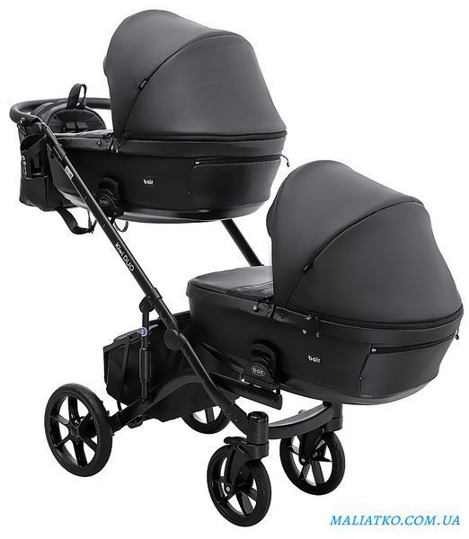 Коляска 2 в 1 для двойни Bair Kiwi DUO ECO BKD-15 черный 1000681044 фото