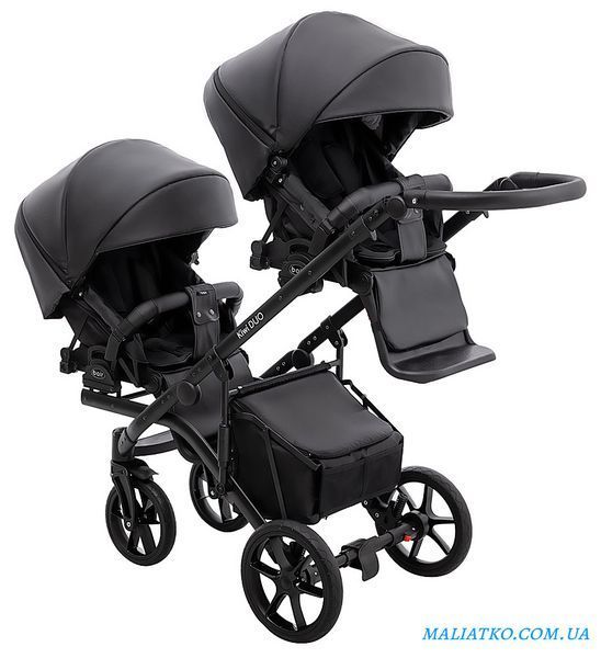 Коляска 2 в 1 для двойни Bair Kiwi DUO ECO BKD-15 черный 1000681044 фото