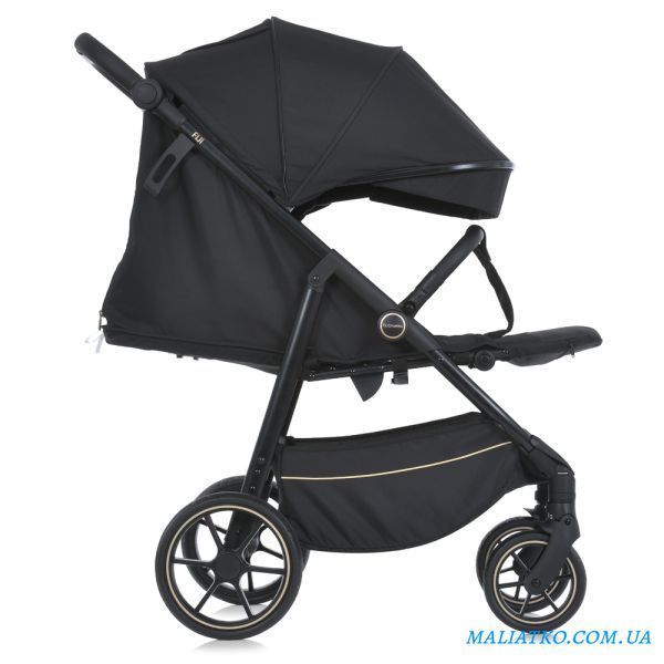 Коляска дитяча ME 1113-2 FIJI Black Matt 300116 фото